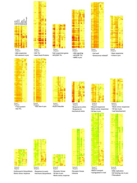 ・Salt responsive genes ・AP2/ERF TFs ・ABA signaling ・AP2/ERF TFs