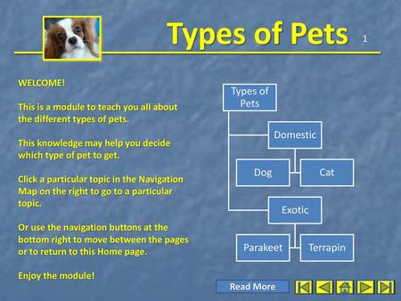 Types of Pets Domestic Dog Cat Exotic Parakeet Terrapin 1 WELCOME!