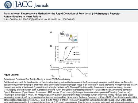 From: A Novel Fluorescence Method for the Rapid Detection of Functional β1-Adrenergic Receptor Autoantibodies in Heart Failure J Am Coll Cardiol. 2007;50(5):423-431.