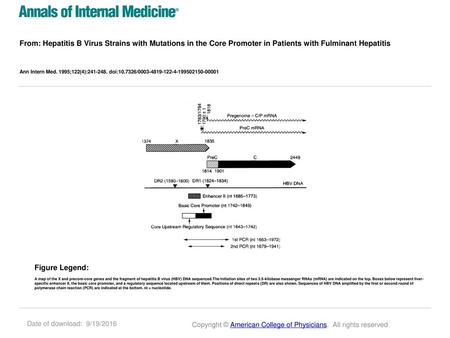 From: Hepatitis B Virus Strains with Mutations in the Core Promoter in Patients with Fulminant Hepatitis Ann Intern Med. 1995;122(4):241-248. doi:10.7326/0003-4819-122-4-199502150-00001.