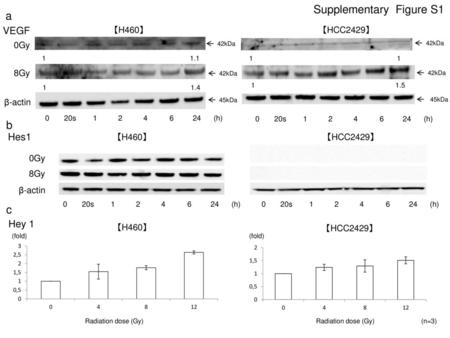 Supplementary Figure S1 a