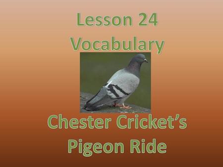 Chester Cricket’s Pigeon Ride