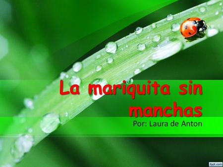 La mariquita sin manchas Por: Laura de Anton. La mariquita sin manchas era muy conocida en el jardín, aunque a veces se equivocaban y decían que era un.