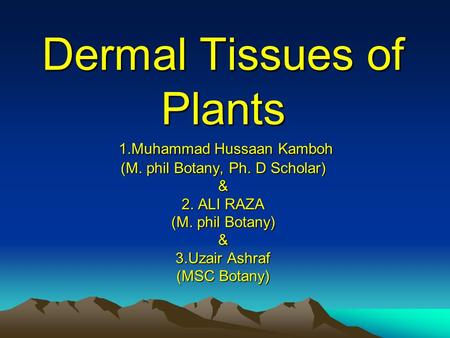 Dermal Tissues of Plants 1.Muhammad Hussaan Kamboh (M. phil Botany, Ph. D Scholar) & 2. Ali raza  (M.phil Botany) & 3.Uzair Ashraf (MSC Botany)