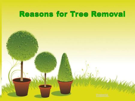  Reasons for Tree Removal Website: