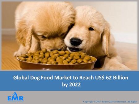 Global Dog Food Market to Reach US$ 62 Billion by 2022