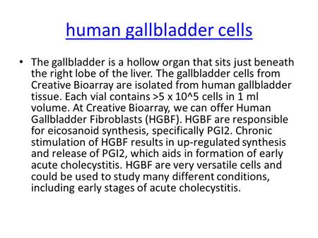 Human gallbladder cells The gallbladder is a hollow organ that sits just beneath the right lobe of the liver. The gallbladder cells from Creative Bioarray.