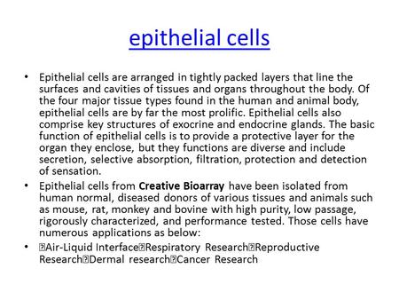 Epithelial cells Epithelial cells are arranged in tightly packed layers that line the surfaces and cavities of tissues and organs throughout the body.