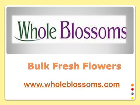 Bulk Flowers Online- www.wholeblossoms.com