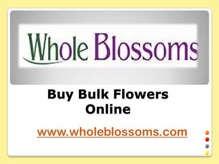 Buy Bulk Flowers Online - www.wholeblossoms.com