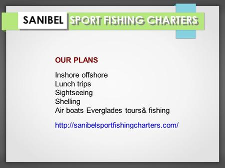 OUR PLANS Inshore offshore Lunch trips Sightseeing Shelling Air boats Everglades tours& fishing