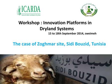 Workshop : Innovation Platforms in Dryland Systems