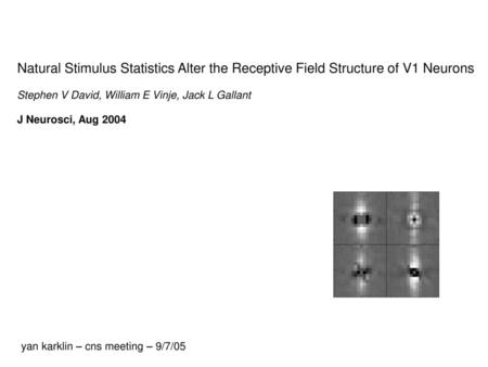 Stephen V David, William E Vinje, Jack L Gallant J Neurosci, Aug 2004