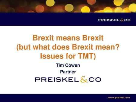 Brexit means Brexit (but what does Brexit mean? Issues for TMT)