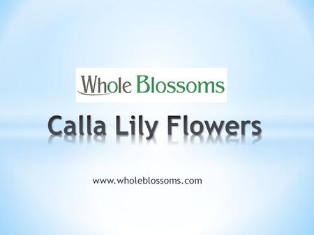 If you are planning to host a wedding event, then ordering calla lily flowers from