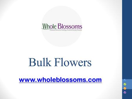 Bulk Flowers - www.wholeblossoms.com