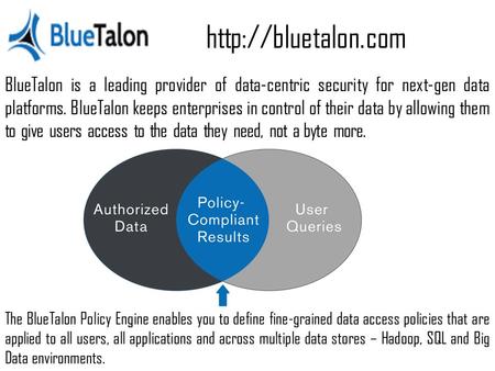 Data-centric security of Blutalon