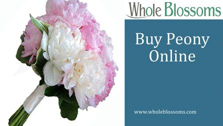 Buy Peony Online  Buy Peony Online.