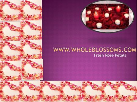 Fresh Rose Petals. Do you want to buy bulk rose petals at a discounted rate? Just visit