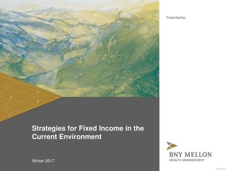 Strategies for Fixed Income in the Current Environment