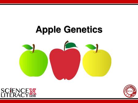 Apple Genetics.