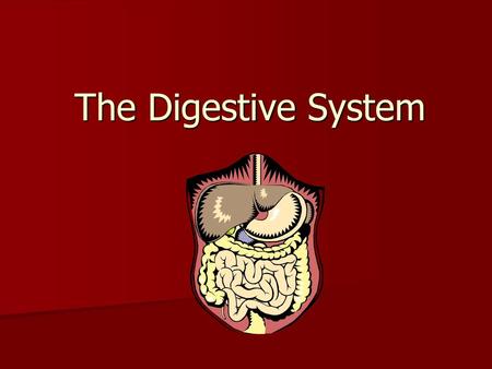 The Digestive System.