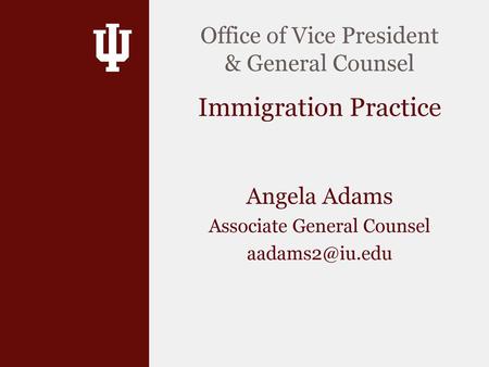 What does Immigration Counsel do?