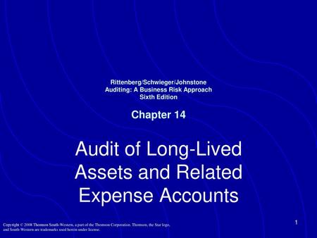 Audit of Long-Lived Assets and Related Expense Accounts