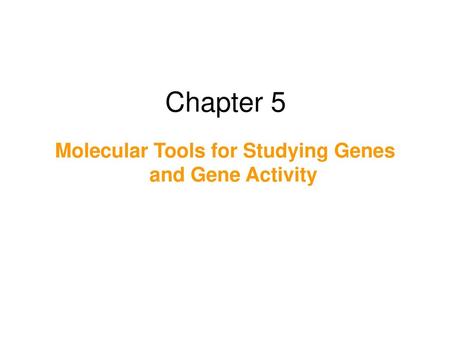 Molecular Tools for Studying Genes and Gene Activity