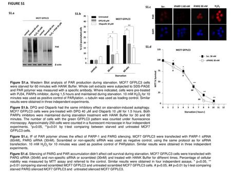 FIGURE S1 S1.c Scr. iPARG 30 nM H2O2 PAR iPARP-1 60 nM DAPI S1.a S1.b