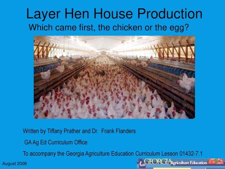 Layer Hen House Production