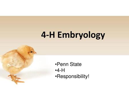 4-H Embryology Penn State 4-H Responsibility!.