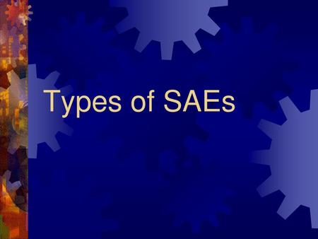 Types of SAEs.