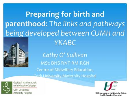 Cathy O’ Sullivan MSc BNS RNT RM RGN Centre of Midwifery Education,