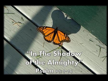 “In The Shadow of the Almighty” Psalm 91:1-16