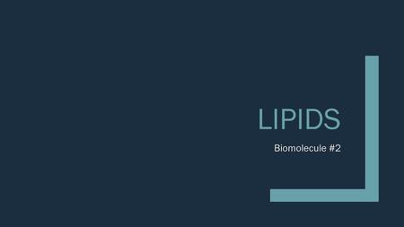 Lipids Biomolecule #2.