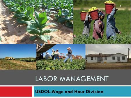 USDOL-Wage and Hour Division