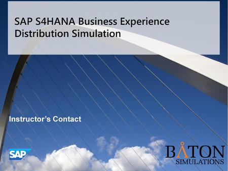 SAP S4HANA Business Experience Distribution Simulation