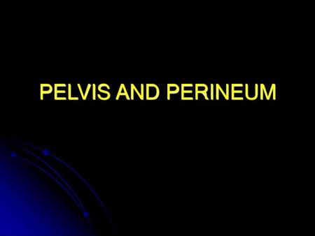 PELVIS AND PERINEUM.