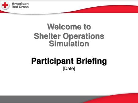 Participant Briefing [Date]