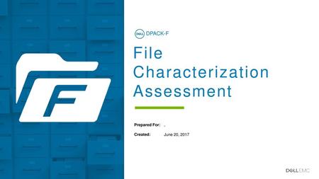 File Characterization Assessment