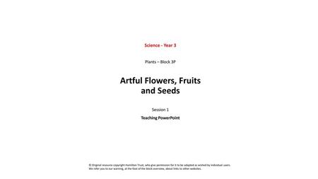 Artful Flowers, Fruits and Seeds