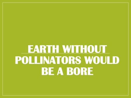 EARTH WITHOUT POLLINATORS WOULD BE A BORE