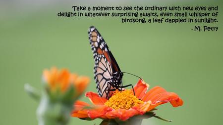 Take a moment to see the ordinary with new eyes and delight in whatever surprising awaits, even small whisper of birdsong, a leaf dappled in sunlight.