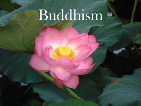 Buddhism.