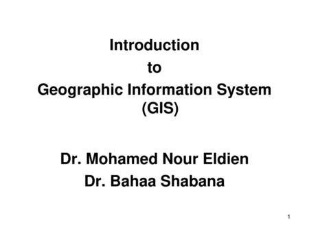 Geographic Information System (GIS)