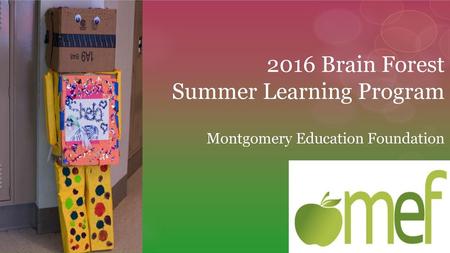 Summer Learning Program