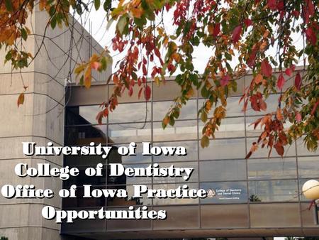 Office of Iowa Practice Opportunities started?