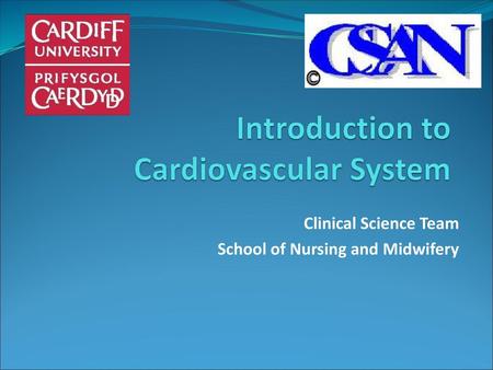 Introduction to Cardiovascular System