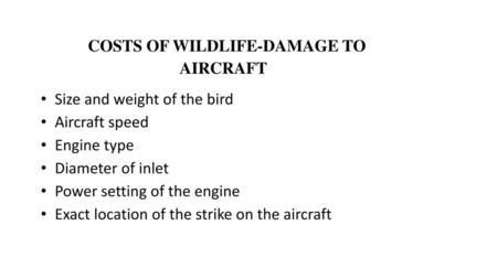 COSTS OF WILDLIFE-DAMAGE TO AIRCRAFT